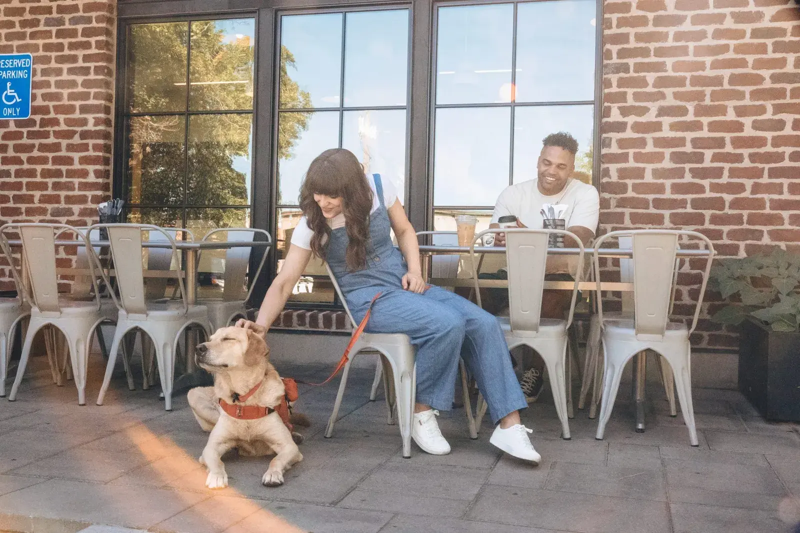 Golden dog wearing a Canyon harness and leash being petted at a cafe patio