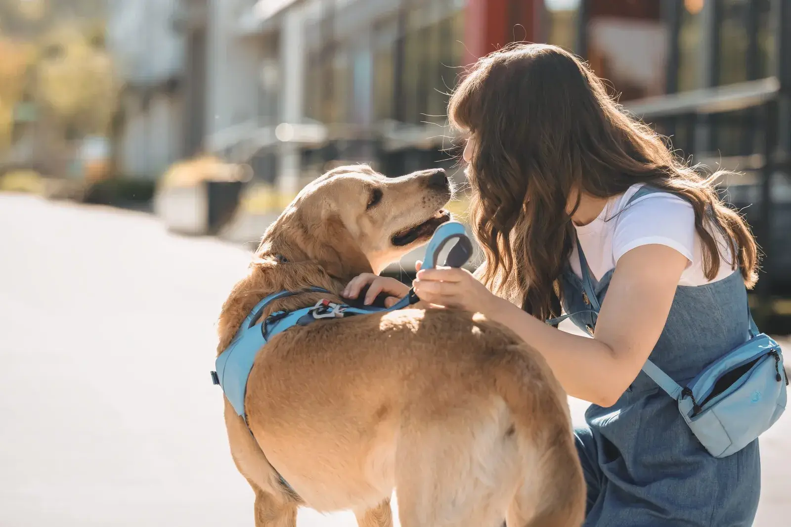 Woman with a Coast crossbody bag greeting a golden dog wearing a Coast harness on a Coast leash
