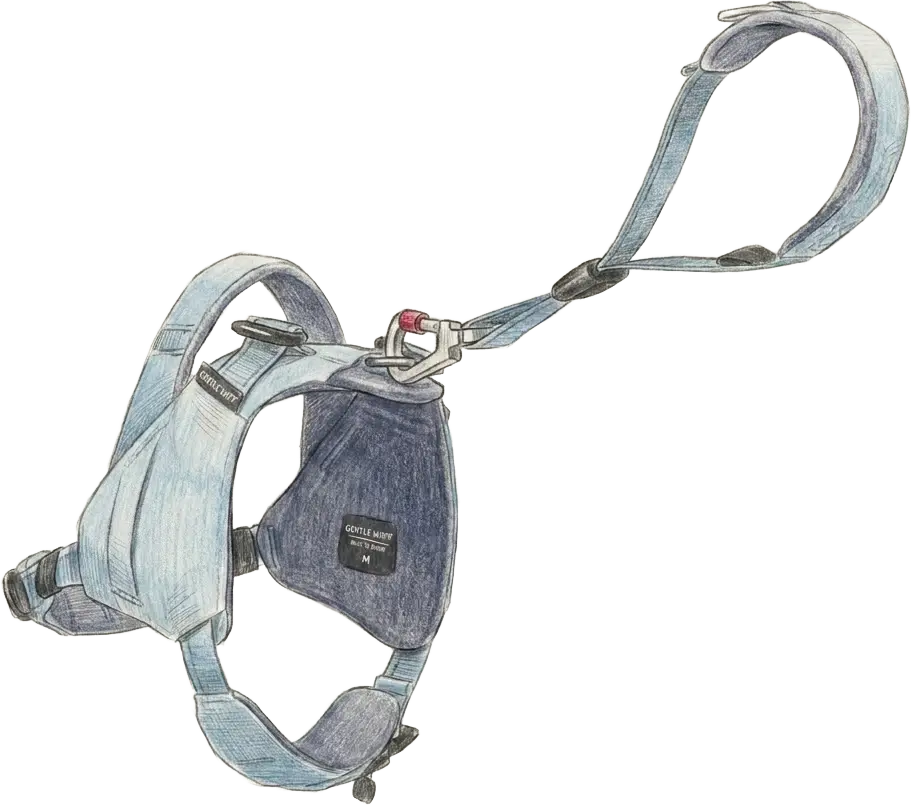 Gentle Wuff harness and leash color pencil illustration
