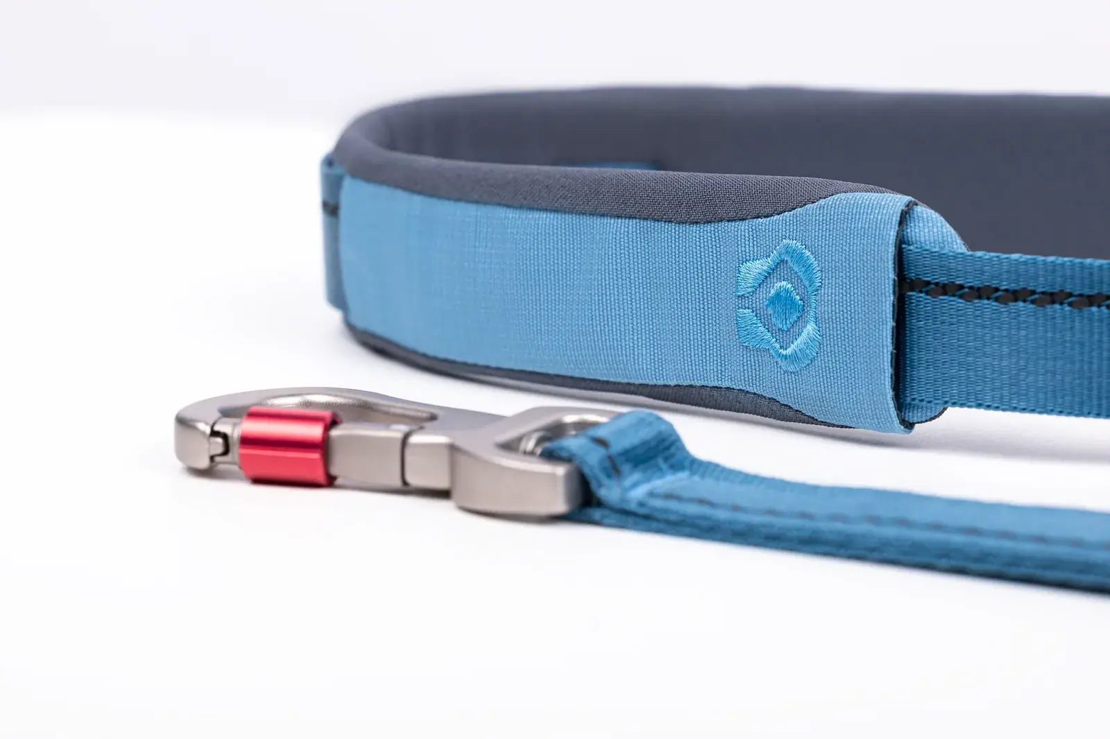 Ready-Go Leash — Coast detail 3