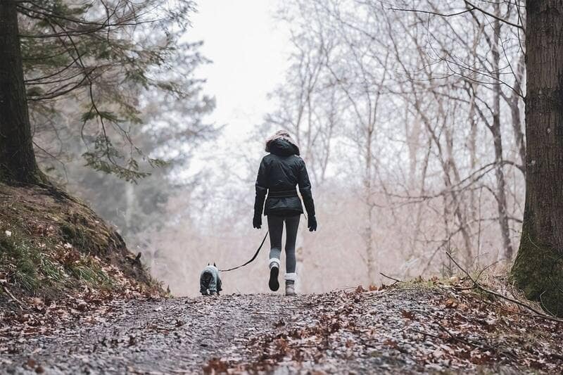 The Benefits of Walking for Dogs and Humans