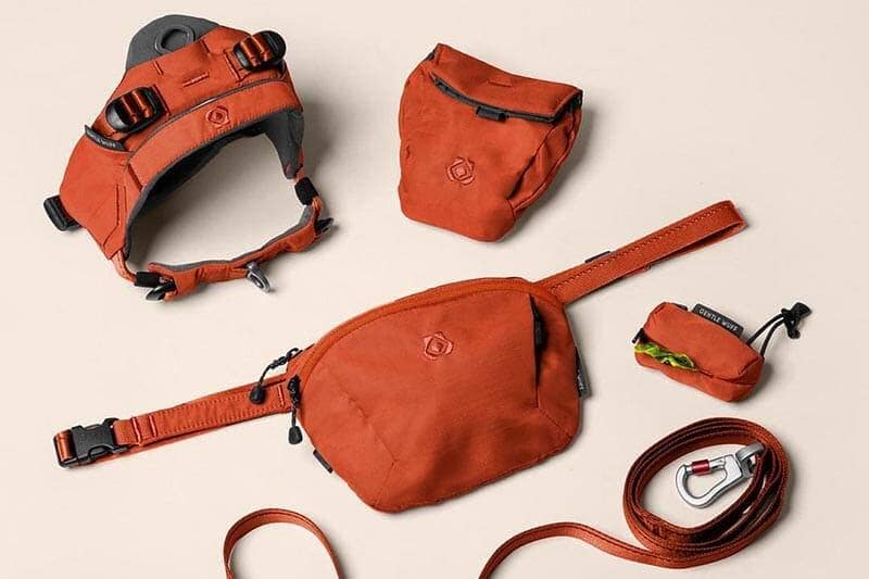 Valentine’s Day Gifts for Dog Parents Who Actually Go Outside