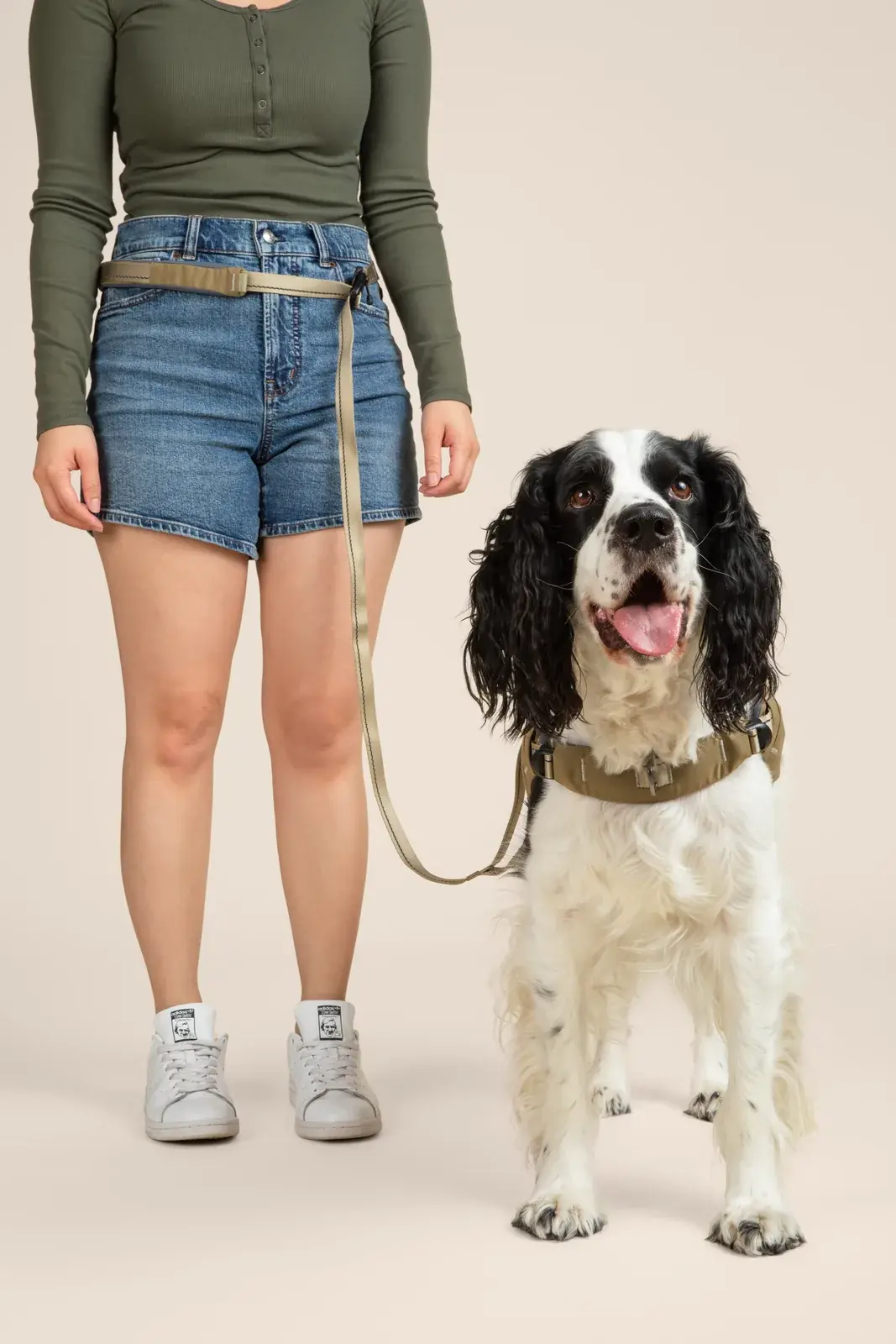 Person with a Grove leash worn around the waist standing beside a springer spaniel in a Grove harness