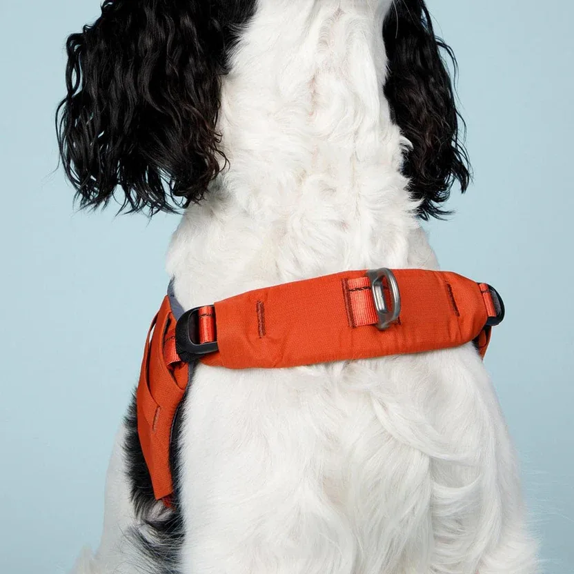 Ready-Go Harness detail — Secure Hardware