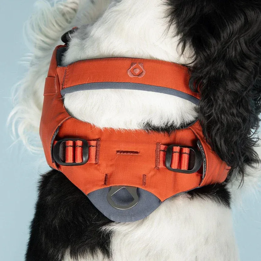 Ready-Go Harness detail — Fidlock® Buckle