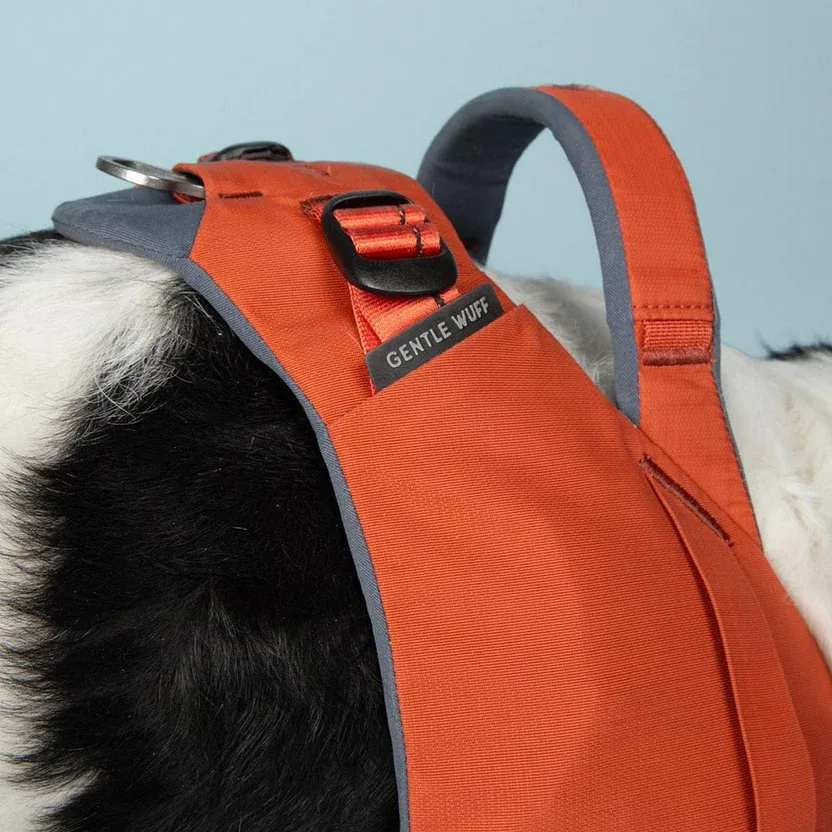 Ready-Go Harness detail — Padded Body