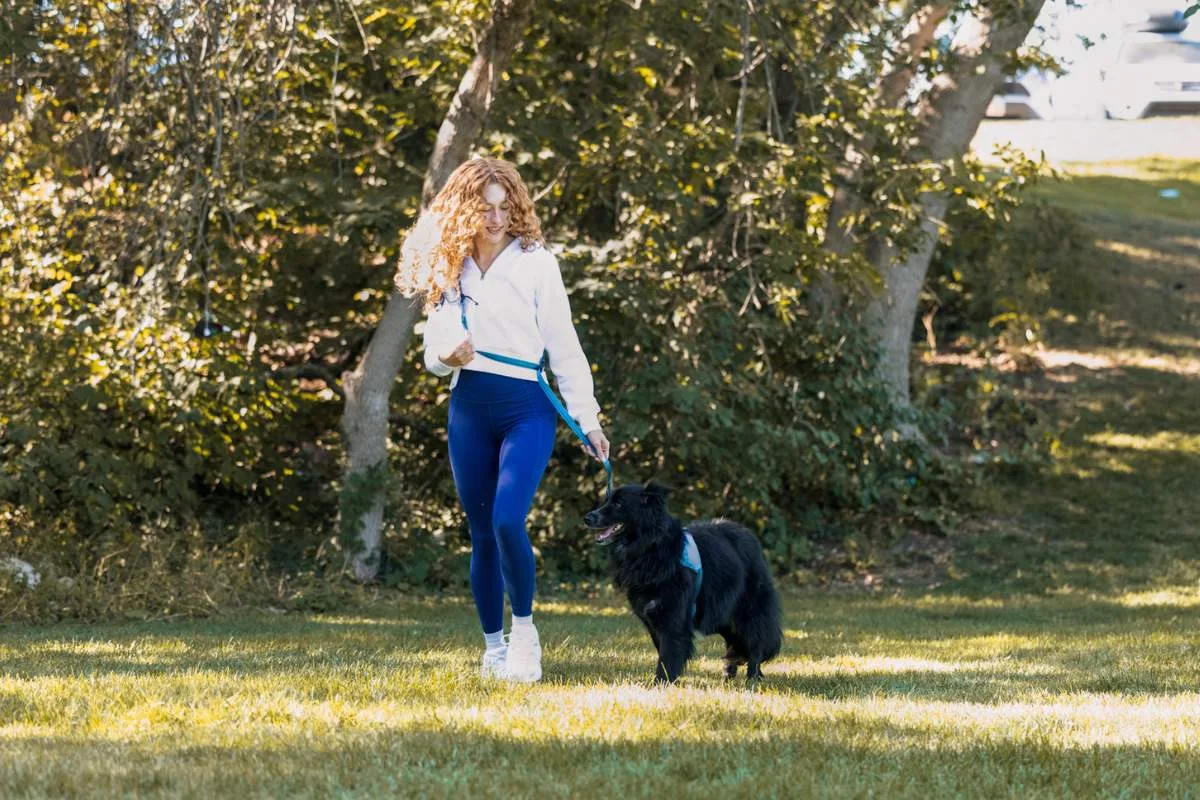 Ready-Go Leash out in the world — scene 1