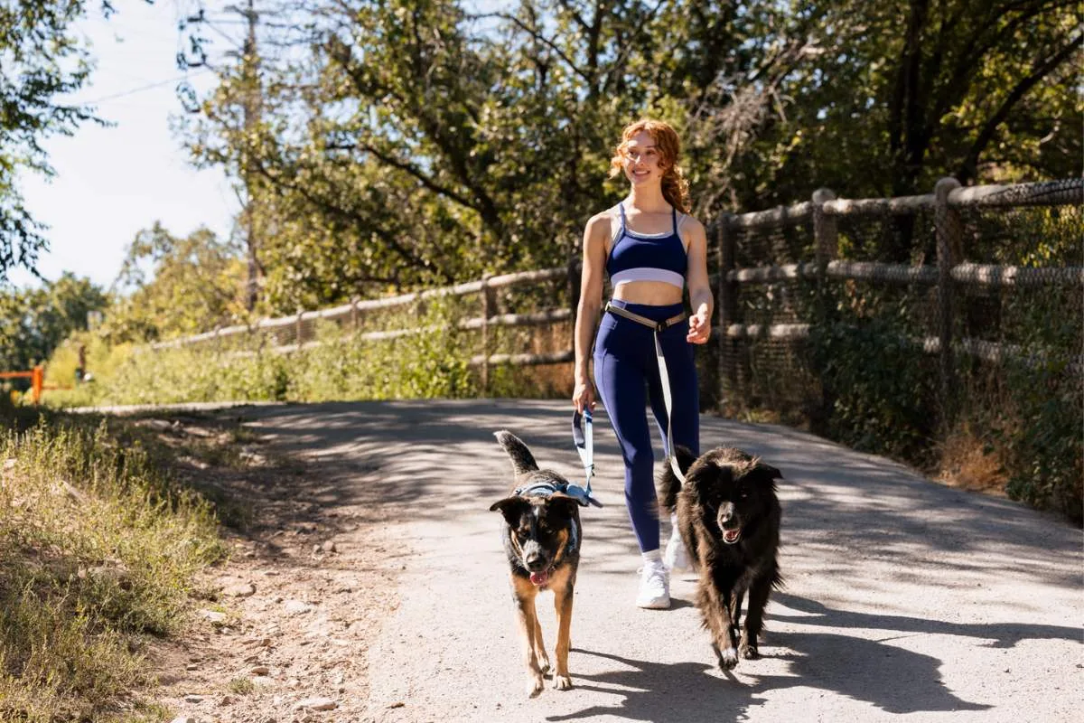 Ready-Go Leash out in the world — scene 4