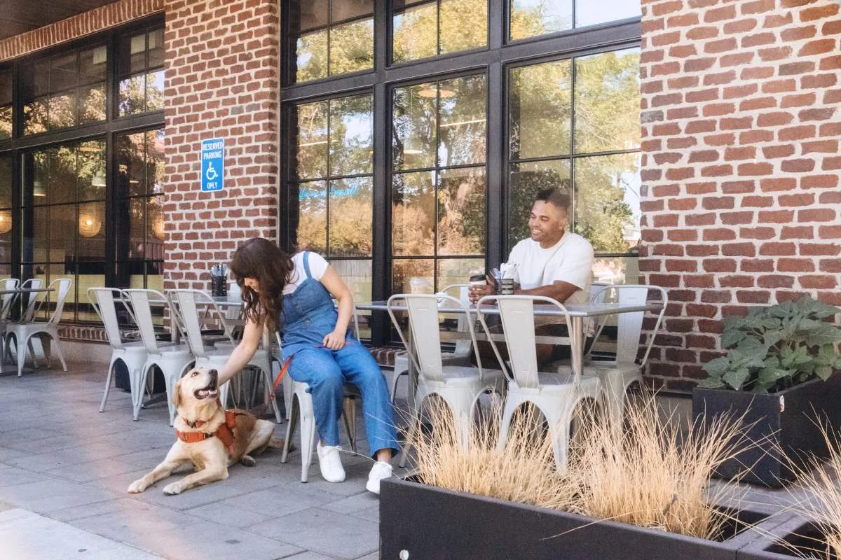 Ready-Go Leash out in the world — scene 5
