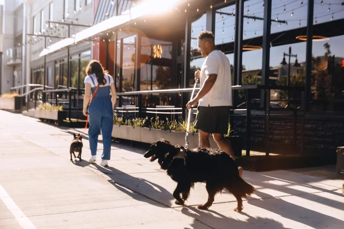 Ready-Go Leash out in the world — scene 6