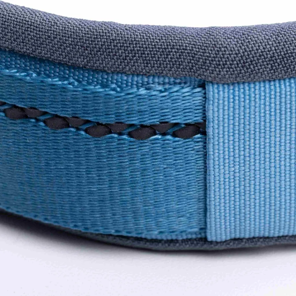 Ready-Go Leash detail — Reflective Stitching
