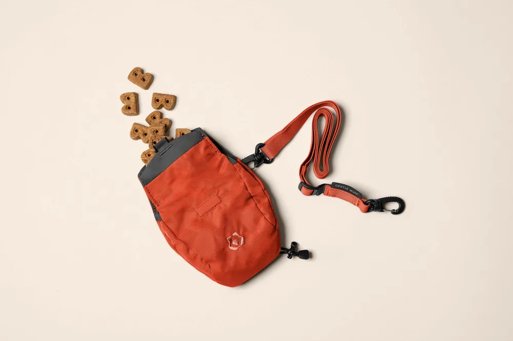 Snack Sack detail — Quick-Access Opening