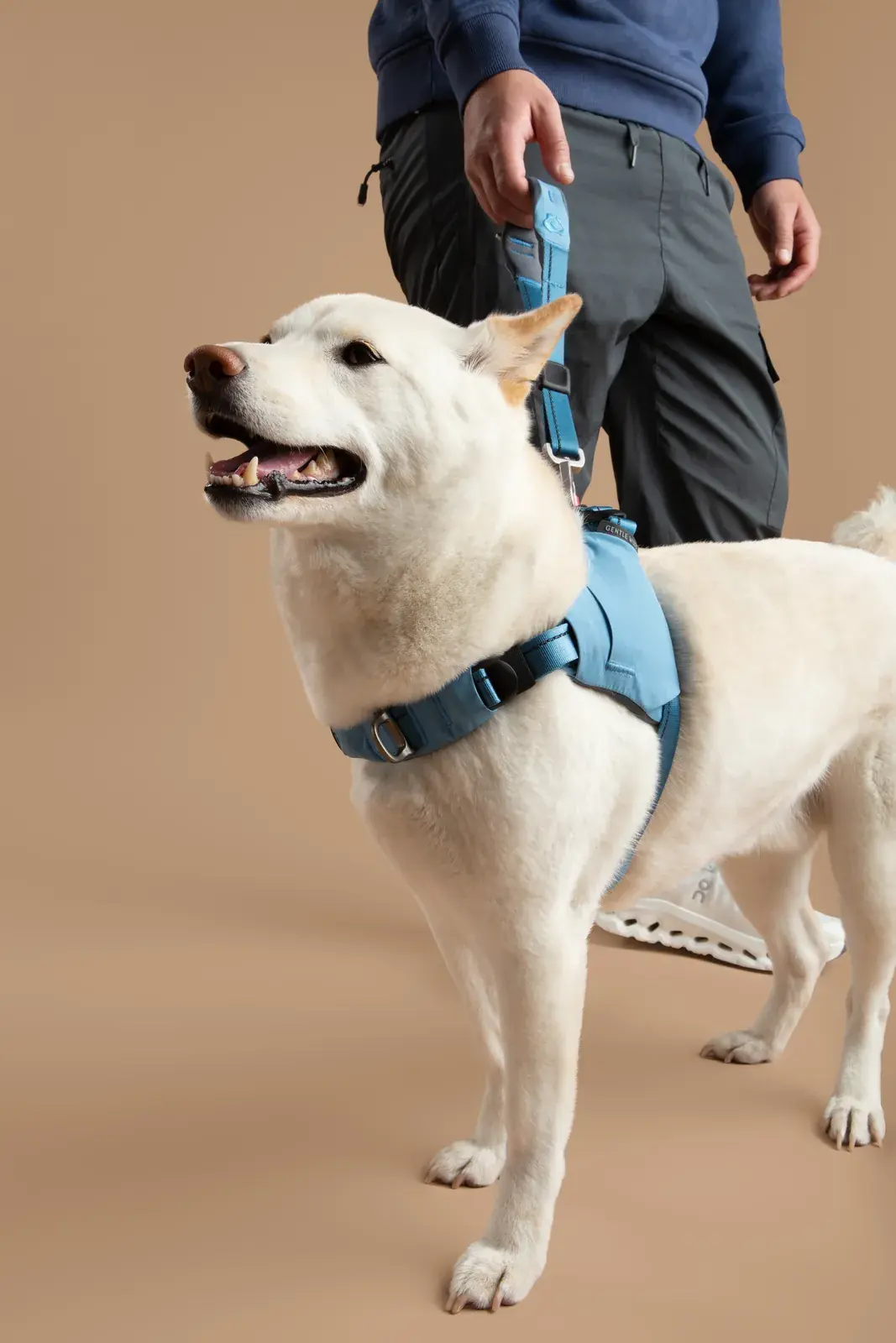 Ready-Go Harness in use 2
