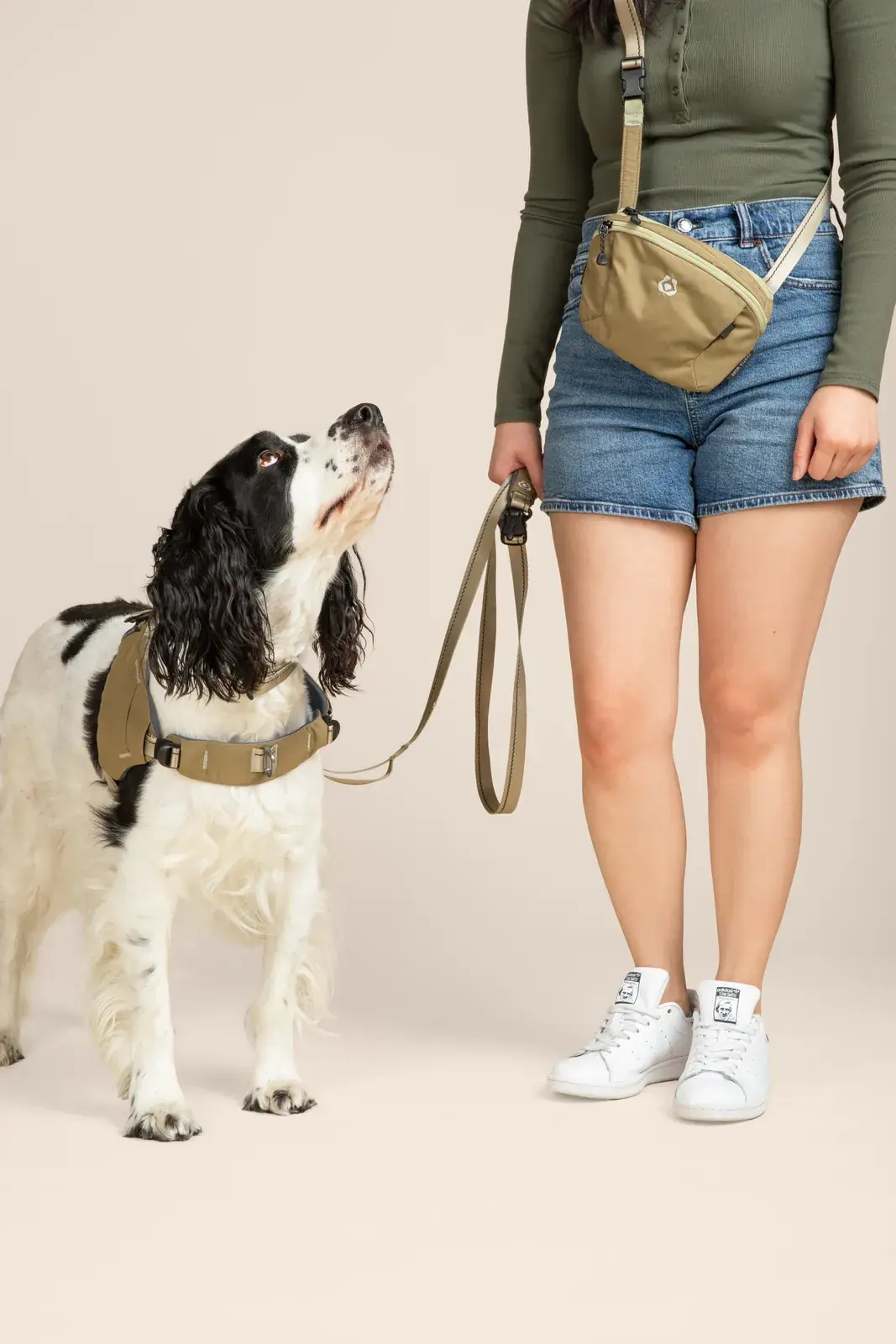 Dog looking up at the Snack Sack worn at the hip